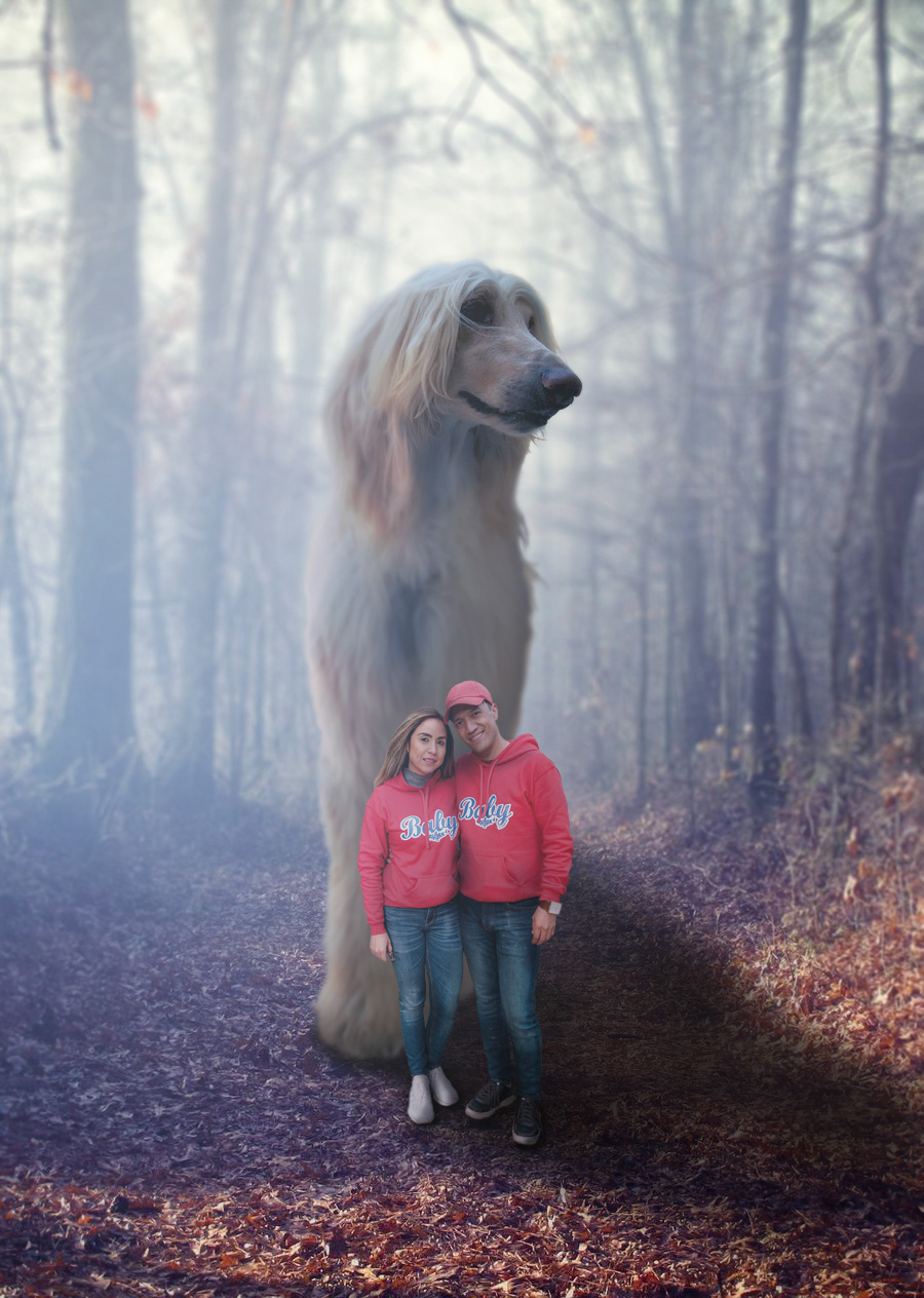 Perro gigante